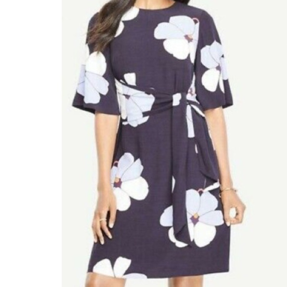 Ann Taylor Orchid Tie Front Dress Size 2